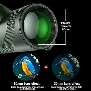 monocular