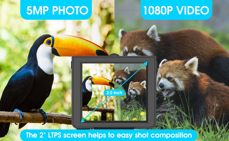 binoculars for adults