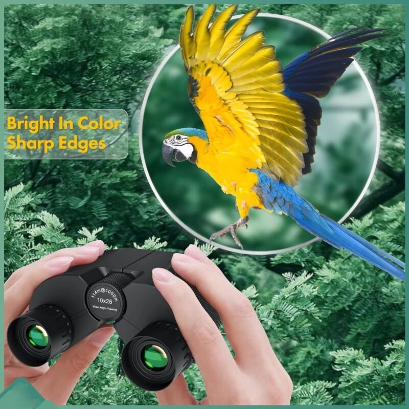 10×25 Binoculars for Adults and Kids Large View Compact Binoculars Easy Focus Small Binoculars for Bird Watching Outdoor Travel